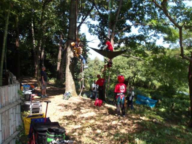 ツリークライミング in 山田池公園