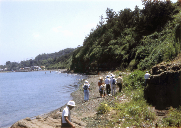 1986�N7��24���A���C�����A�C�ݐ�