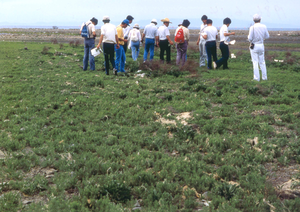 1986�N6��14���A��l�̐A���̕ϑJ