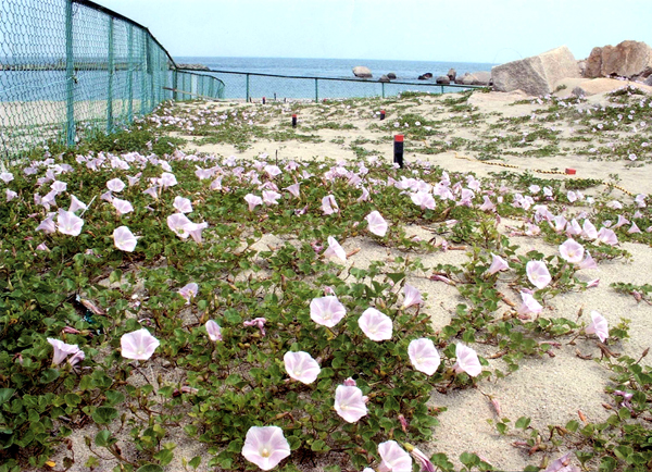 2004�N5��11���l�H��l