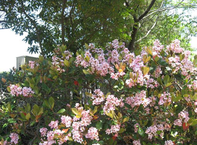 �x�j�o�i�V�������o�C