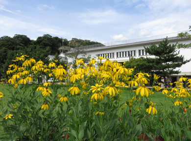 �I�I�n���S���\�E