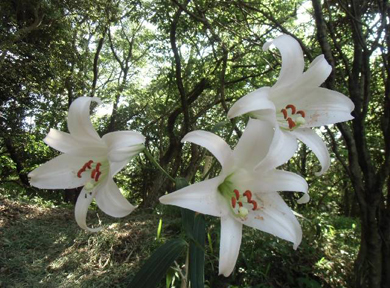 �T�T����