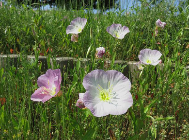 �q���U�L�c�L�~�\�E