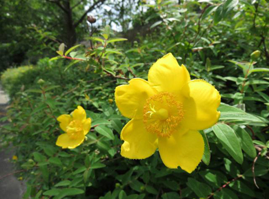 �q�y���J��