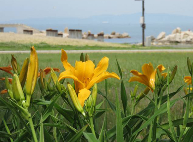 �n�}�J���]�E