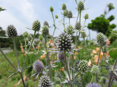 �G�����M�E���E�M�K���e�E��