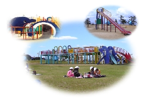 �C���J�V��