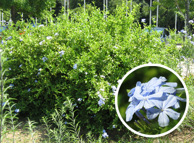 �����}�c��