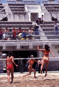 �r�[�`�o���[���