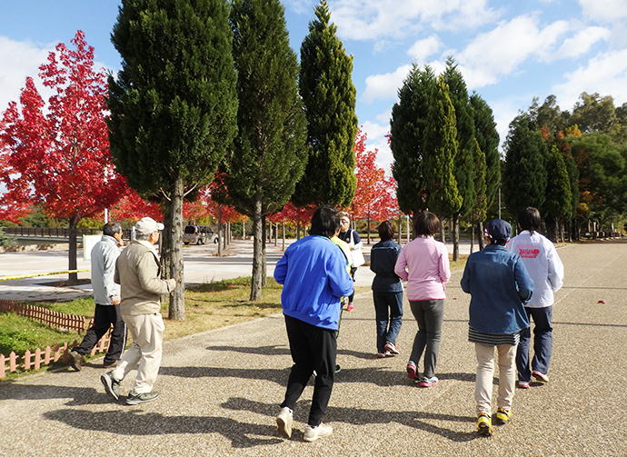 写真, 公園でのジョギングの様子