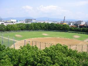 大泉 緑地 公園